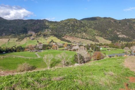 Photo of property in 78 Packtrack Road, Thames, 3577