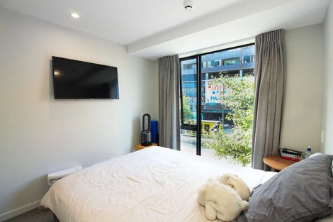 Photo of property in Vsp South, 105/168u Victoria Street, Te Aro, Wellington, 6011