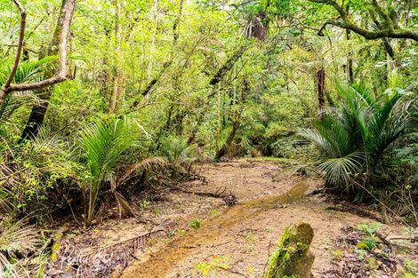Photo of property in 736 Whakapirau Road, Whakapirau, Maungaturoto, 0583