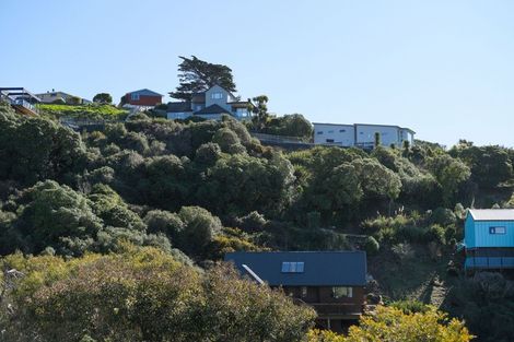 Photo of property in 2l Clayton Street, Saint Clair, Dunedin, 9012