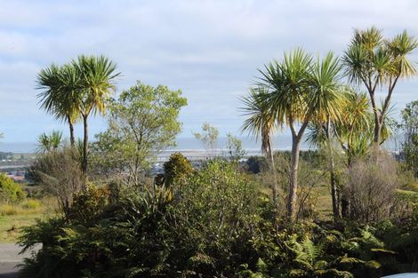 Photo of property in 132 Brickfield Road, Blue Spur, Hokitika, 7882