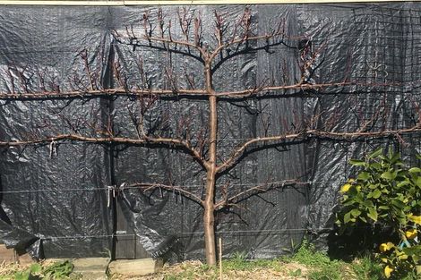 Photo of property in 41 Larsen Crescent, Tawa, Wellington, 5028