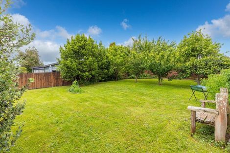 Photo of property in 13 Maple Avenue, Dinsdale, Hamilton, 3204