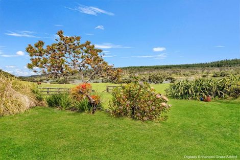 Photo of property in 487 Wilson Road, South Head, Helensville, 0874