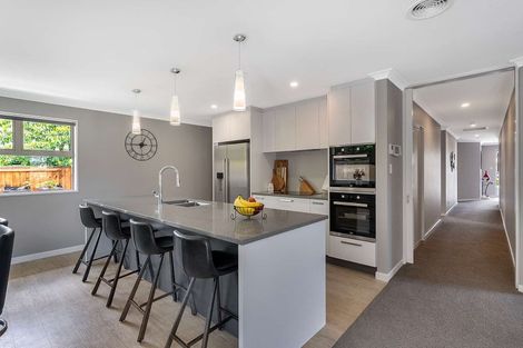 Photo of property in 1149b Goulds Road, Rolleston, 7614