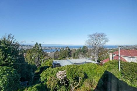 Photo of property in 7 Leven Street, Roslyn, Dunedin, 9010