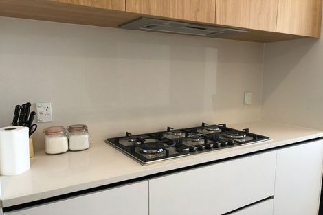 Photo of property in 8 Frontier Lane, Flat Bush, Auckland, 2019