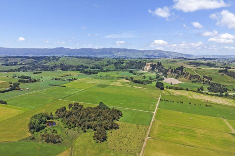 Photo of property in 1968 Kimbolton Road, Kiwitea, Feilding, 4777