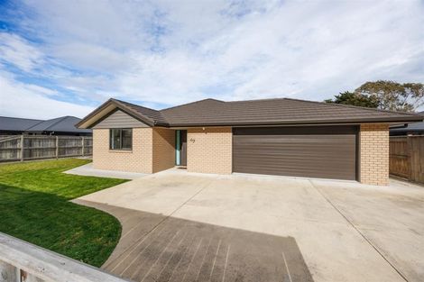 Photo of property in 51 Wilson Street, Bulls, 4818