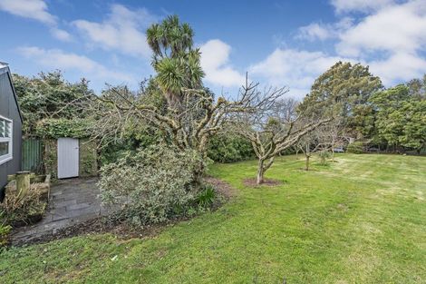 Photo of property in 28 Taumutu Road, Southbridge, 7602