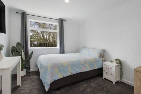 Photo of property in 17 Wilson Street, Waihi, 3610