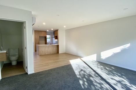 Photo of property in 102 Strickland Street, Sydenham, Christchurch, 8023