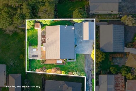 Photo of property in 108 Fox Street, Hamilton East, Hamilton, 3216