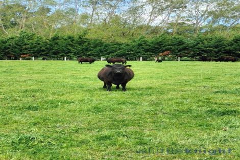 Photo of property in 1/546 Mclaughlins Road, Darfield, 7571