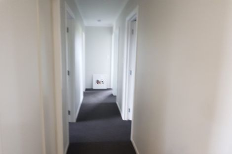 Photo of property in 41 Ladeira Place, Fitzroy, Hamilton, 3206