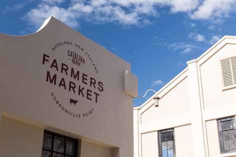 Photo of property in 6 Treloar Crescent, Hobsonville, Auckland, 0616