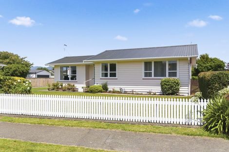 Photo of property in 50 Kennedy Drive, Levin, 5510