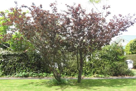 Photo of property in 11 Richardson Avenue, Whataupoko, Gisborne, 4010