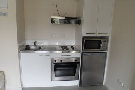 Photo of property in Southern Cross Apartments, 212/35u Abel Smith Street, Te Aro, Wellington, 6011
