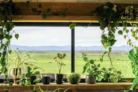 Photo of property in 399 Mahuta Road, Mangatarata, Thames, 3576