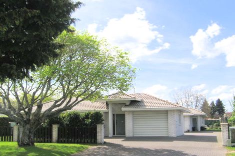 Photo of property in 53c Elizabeth Street, Victoria, Rotorua, 3010
