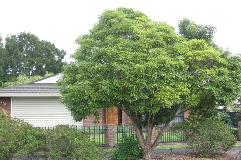 Photo of property in 10 Septimus Place, Henderson, Auckland, 0612