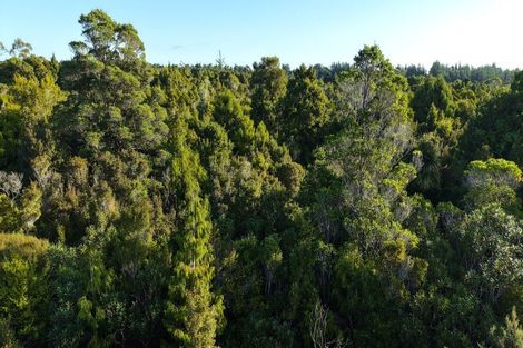 Photo of property in 37 South Terrace Road, Karamea, 7893