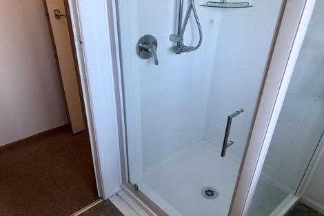 Photo of property in 141a Galloway Street, Hamilton East, Hamilton, 3216