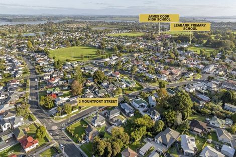 Photo of property in 3 Mountfort Street, Manurewa, Auckland, 2102