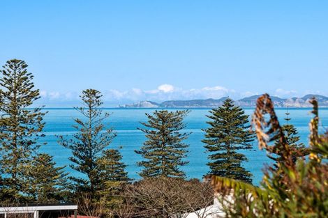Photo of property in 16 Brewster Street, Bluff Hill, Napier, 4110