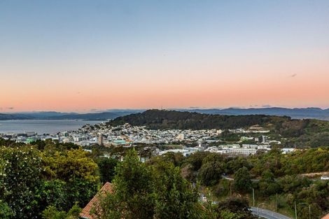 Photo of property in 7 Washington Avenue, Brooklyn, Wellington, 6021