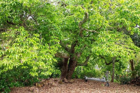 Photo of property in 24 Mission Road, Kerikeri, 0230