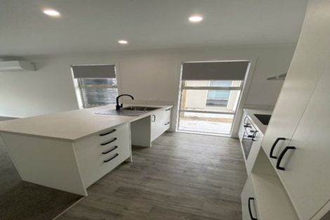 Photo of property in 45u3 Tranmere Road, Fairfield, Hamilton, 3214