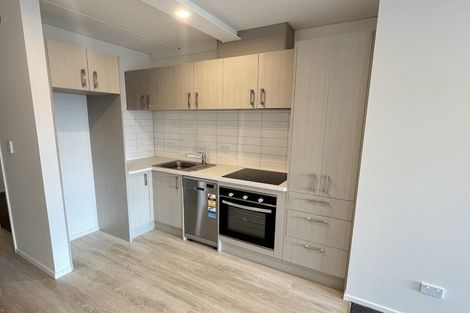 Photo of property in 70 Park Avenue, Rosehill, 2113
