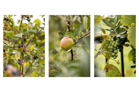 Photo of property in 18 Moira Close, Welcome Bay, Tauranga, 3175