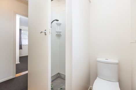 Photo of property in 141b Galloway Street, Hamilton East, Hamilton, 3216