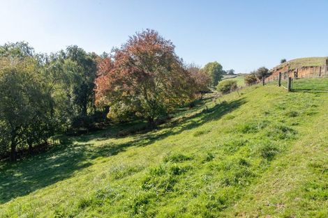 Photo of property in 733 Grove Road, Karamu, Hamilton, 3285