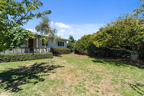 Photo of property in 3 Konini Street, Taupo, 3330