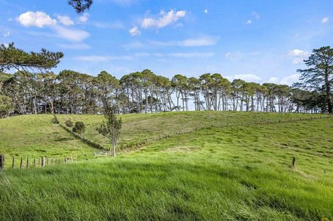 Photo of property in 148 Waitakere Road, Waitakere, Auckland, 0782