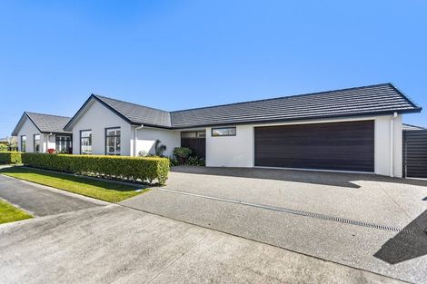Photo of property in 1 Tupare Place, Highlands Park, New Plymouth, 4312