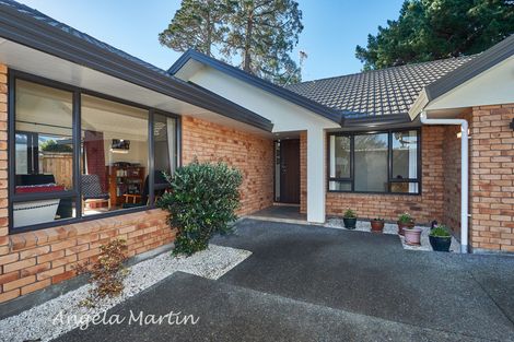 Photo of property in 28a Rainforth Street, Roslyn, Palmerston North, 4414