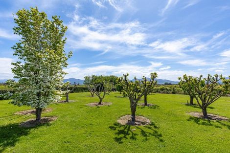 Photo of property in 56 Thomsons Ford Road, Thomsons Ford, Blenheim, 7272