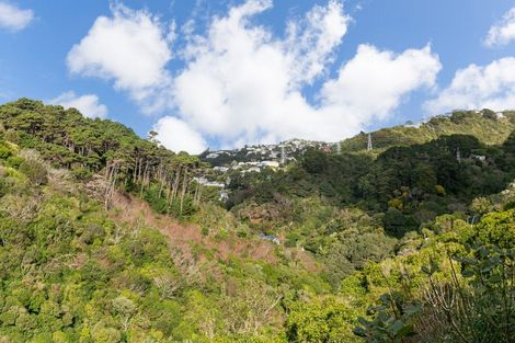 Photo of property in 97b Raroa Road, Aro Valley, Wellington, 6012