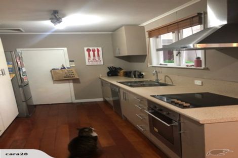 Photo of property in 58 Storey Avenue, Forest Lake, Hamilton, 3200