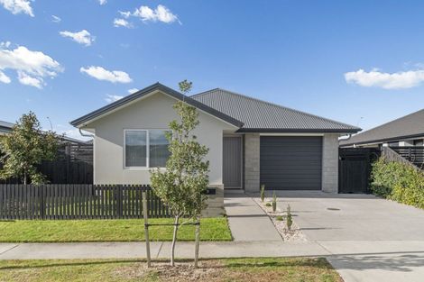 Photo of property in 19 Silver Fern Lane, Papamoa, 3118