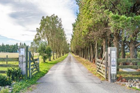 Photo of property in 246 Georges Road, Glasnevin, Amberley, 7482