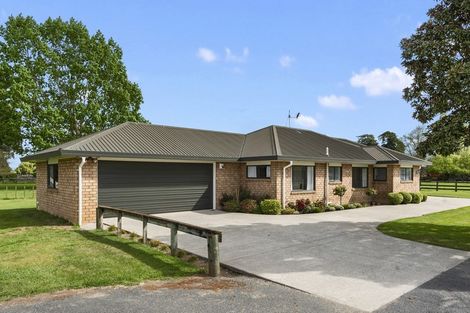 Photo of property in 54 Peake Road, Cambridge, Hamilton, 3283