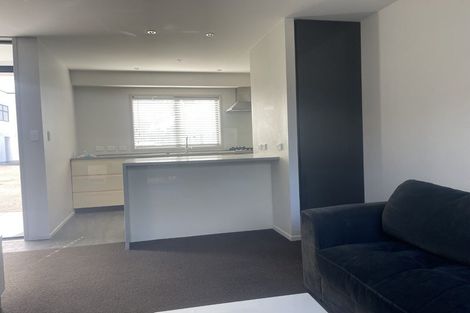 Photo of property in 195u6 Massey Street, Frankton, Hamilton, 3204