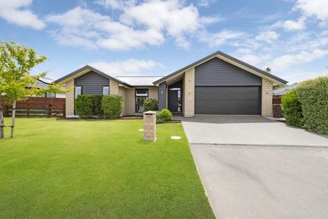 Photo of property in 31 Carston Street, Leeston, 7632