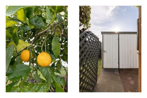 Photo of property in 117a Chapel Street, Otumoetai, Tauranga, 3110